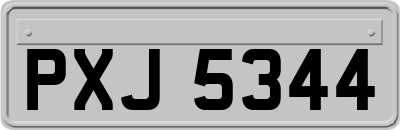 PXJ5344