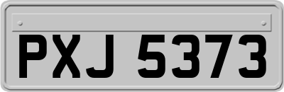 PXJ5373