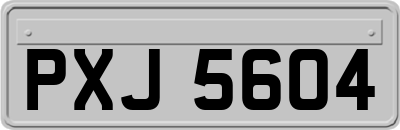 PXJ5604