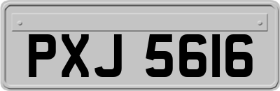 PXJ5616