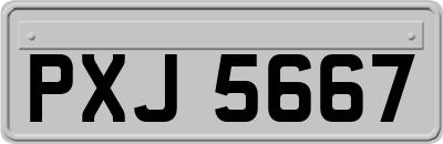 PXJ5667