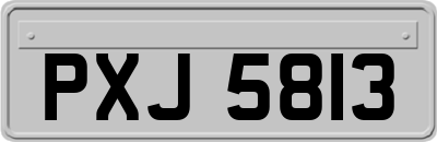 PXJ5813