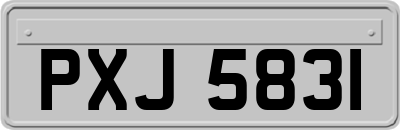 PXJ5831