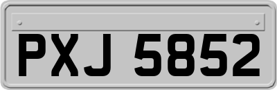 PXJ5852