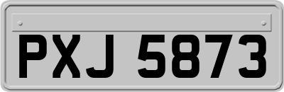 PXJ5873