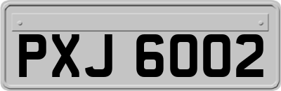 PXJ6002