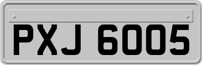 PXJ6005