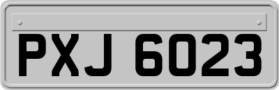 PXJ6023