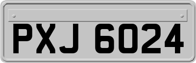 PXJ6024