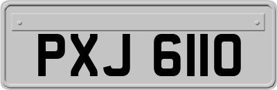 PXJ6110