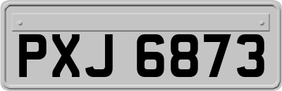 PXJ6873