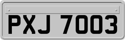 PXJ7003