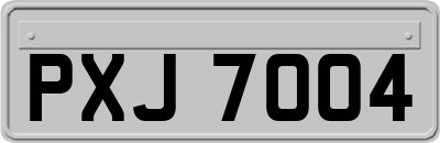 PXJ7004