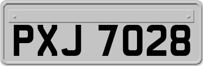 PXJ7028