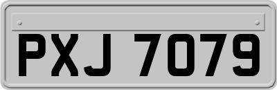 PXJ7079