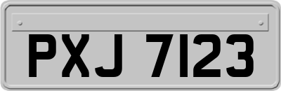 PXJ7123