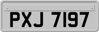 PXJ7197