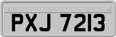 PXJ7213