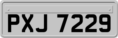 PXJ7229