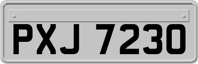 PXJ7230