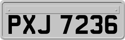 PXJ7236