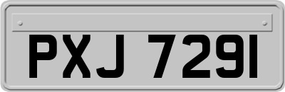 PXJ7291