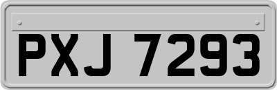 PXJ7293