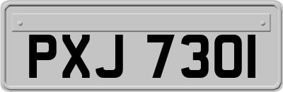 PXJ7301