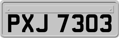 PXJ7303