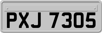 PXJ7305