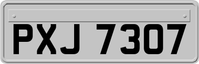 PXJ7307