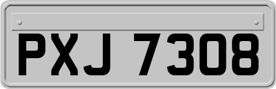 PXJ7308