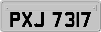 PXJ7317