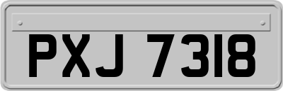 PXJ7318