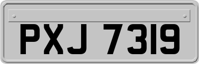 PXJ7319