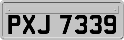 PXJ7339