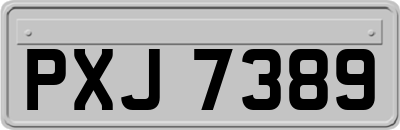 PXJ7389