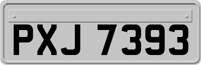 PXJ7393