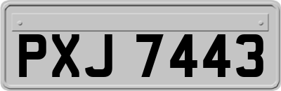 PXJ7443