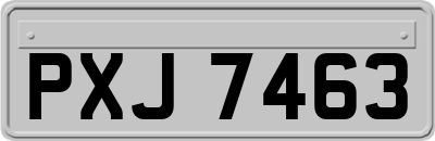 PXJ7463