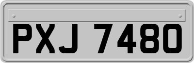 PXJ7480