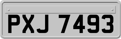 PXJ7493