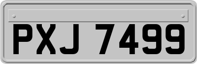 PXJ7499