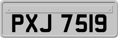 PXJ7519