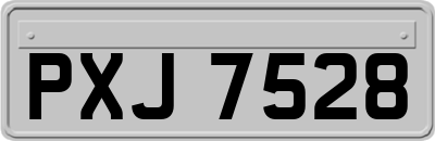 PXJ7528