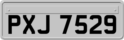 PXJ7529