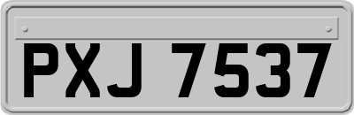 PXJ7537