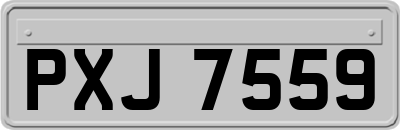 PXJ7559