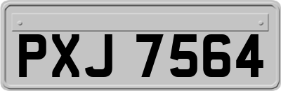 PXJ7564