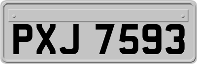 PXJ7593